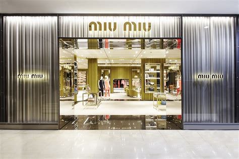 miu miu target customer|marketing mix of miu.